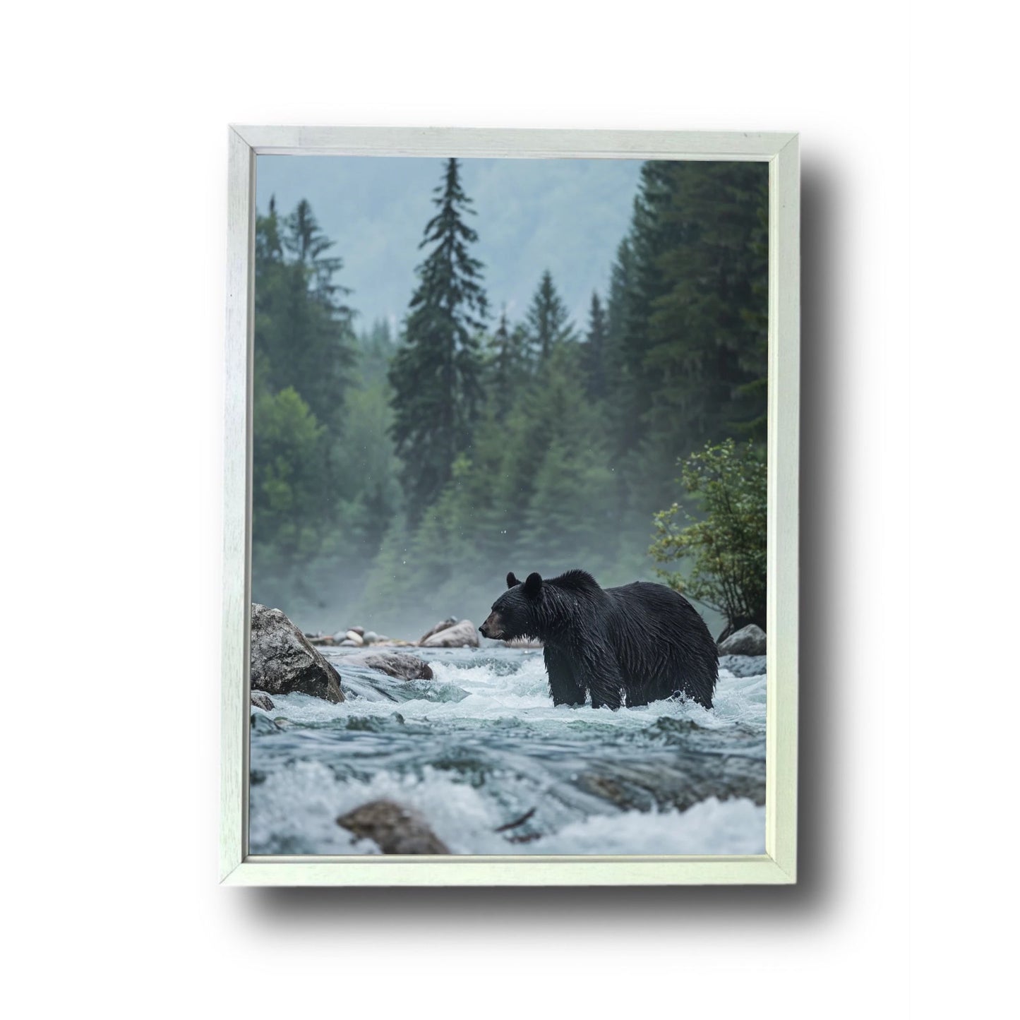 Black bear standing in river