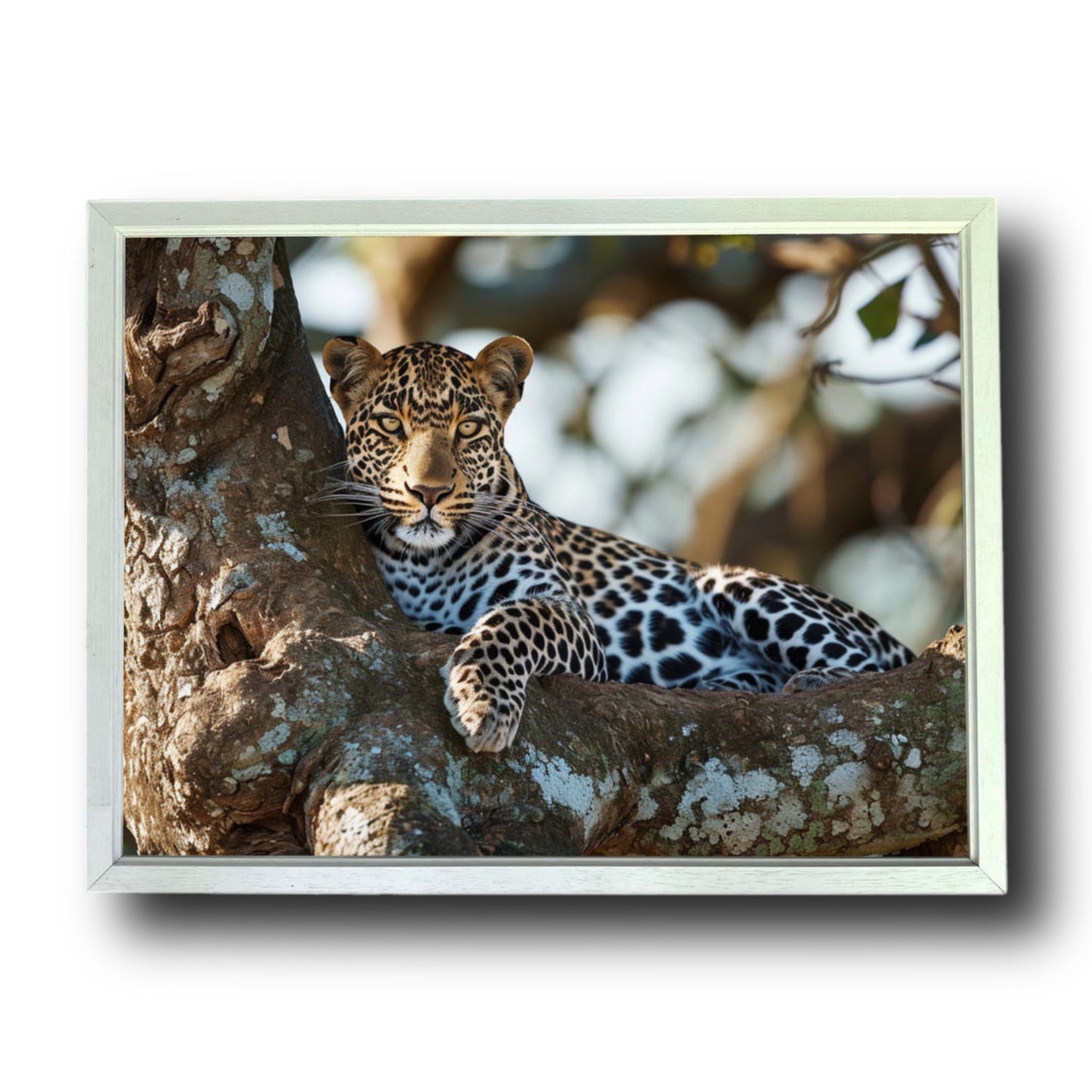 Leopard Resting In Tree In Savannah