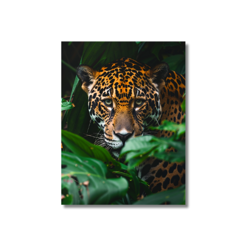 Jaguar in the Jungle 2.0