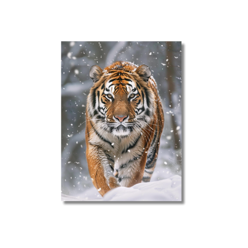 Siberian Tiger Snow Forest 3.0