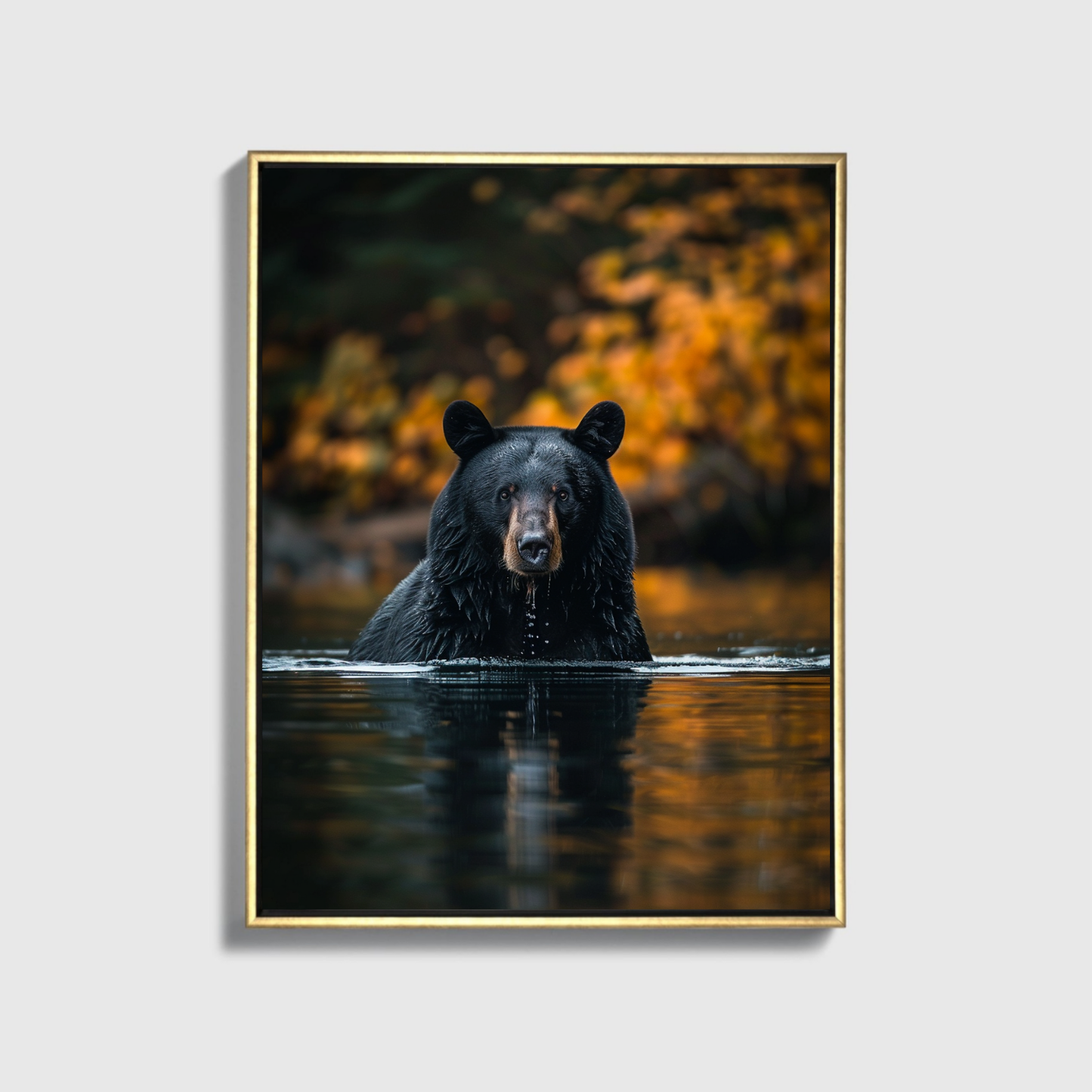 Black Bear Fishing Canadian River