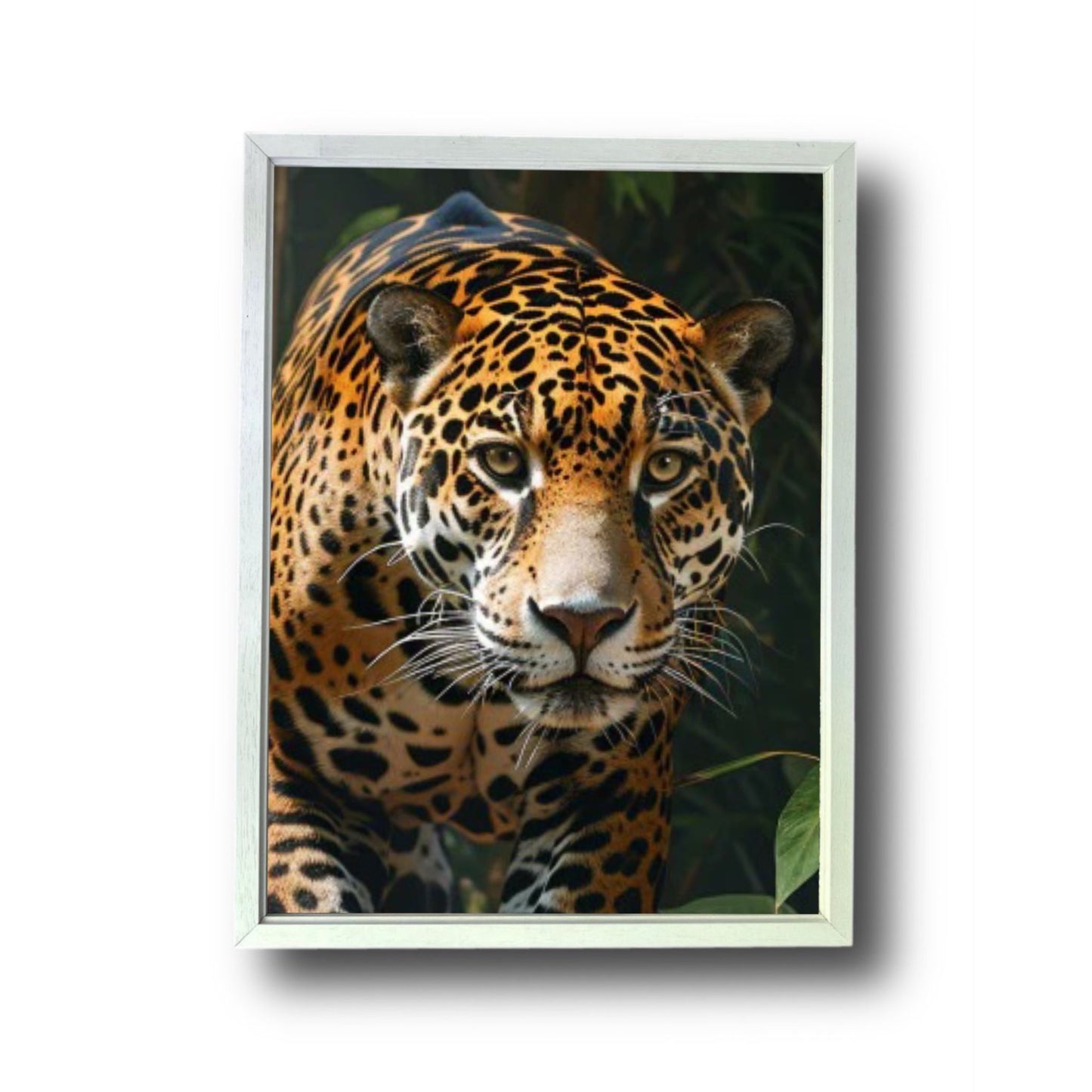 Jaguar Stalking Prey Rainforest