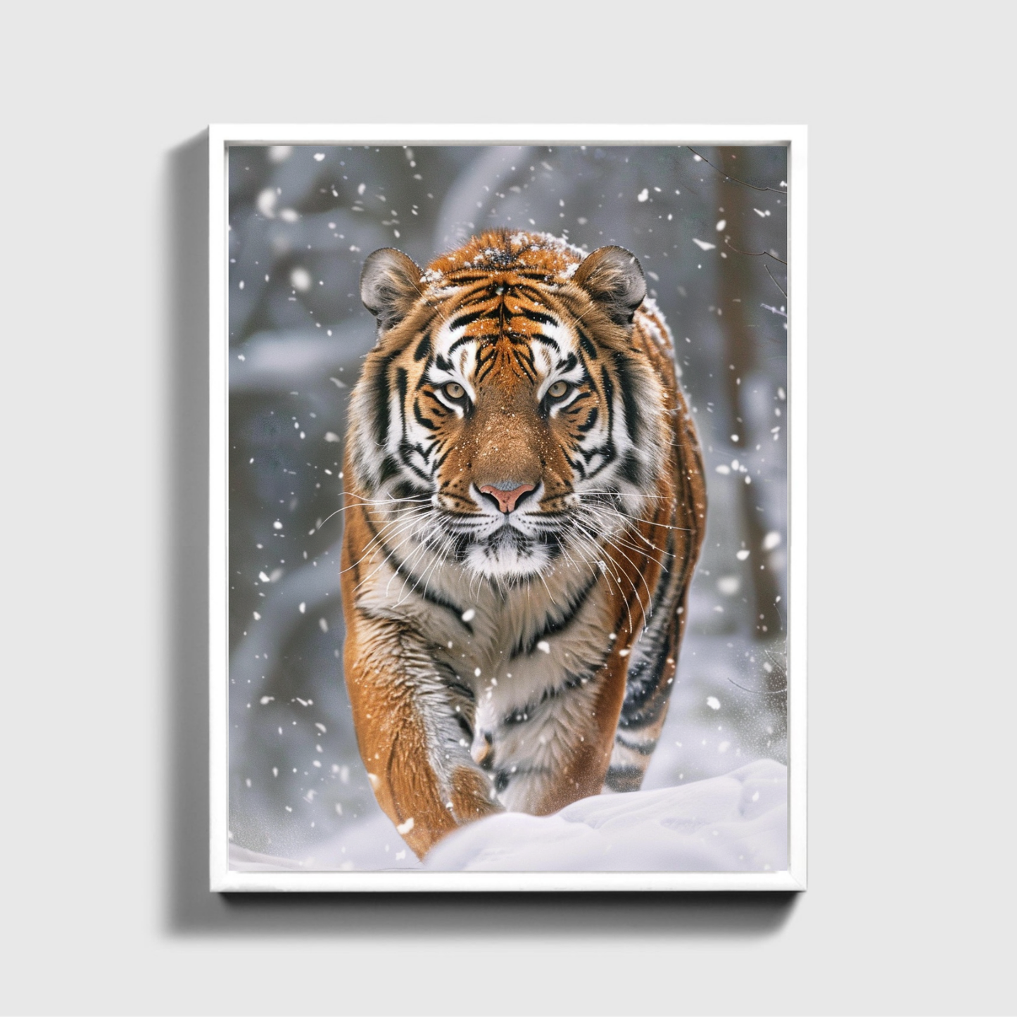 Siberian Tiger Snow Forest