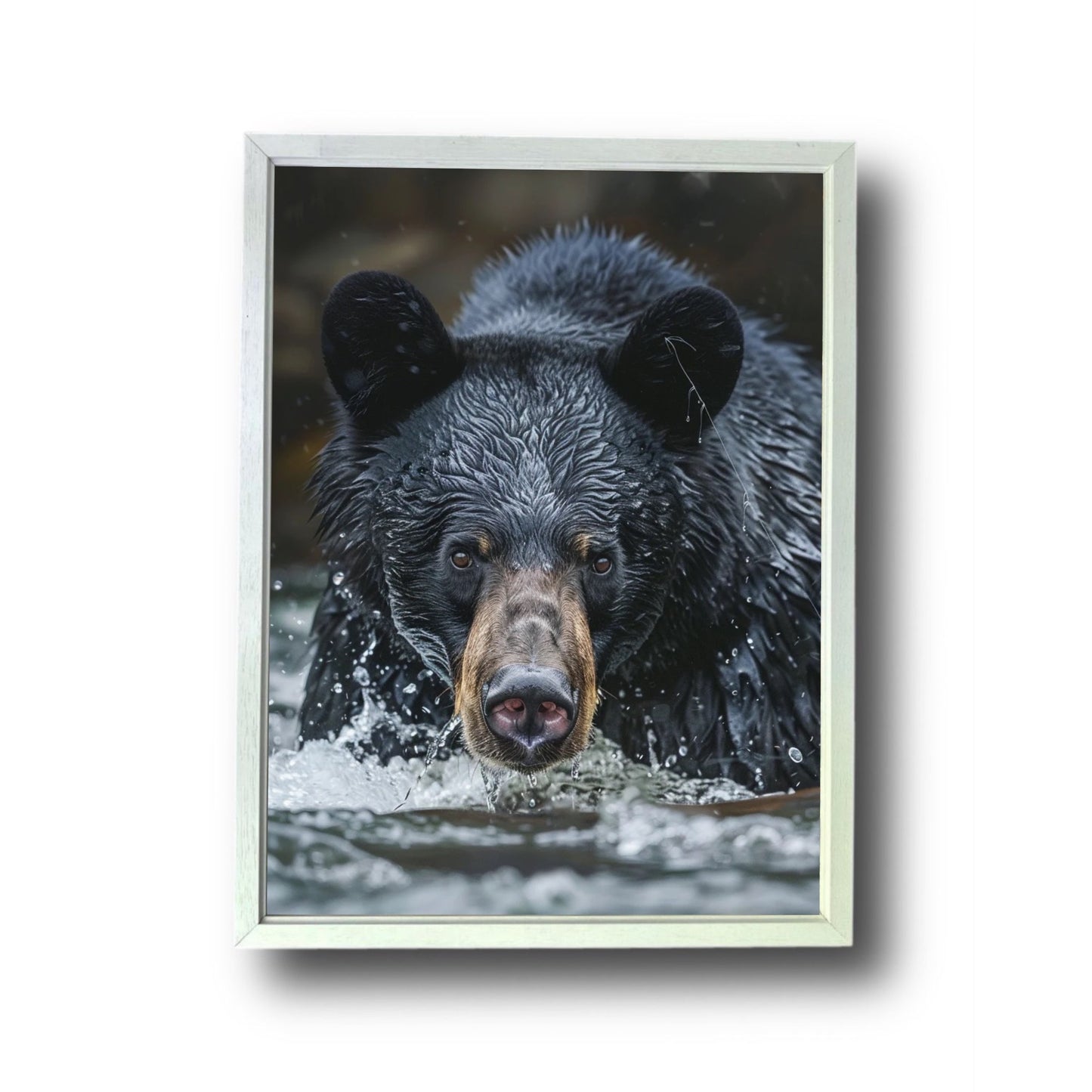 Black Bear Fishing Canadian River 3.0