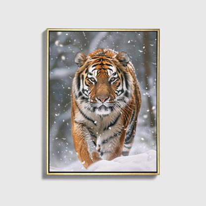 Siberian Tiger Snow Forest