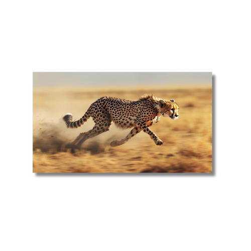 Cheetah Springting