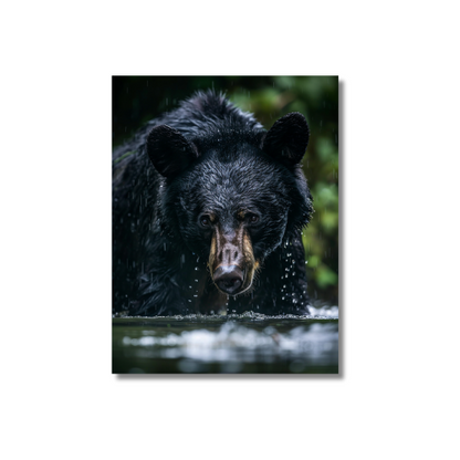 Black Bear Fishing Canadian River 2.0