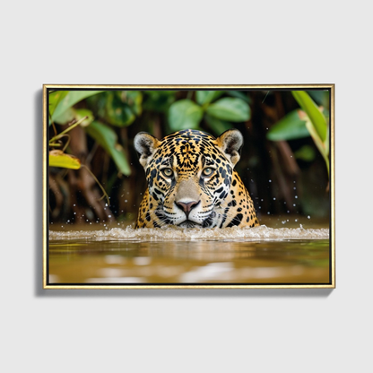 Jaguar Emerging Amazon River