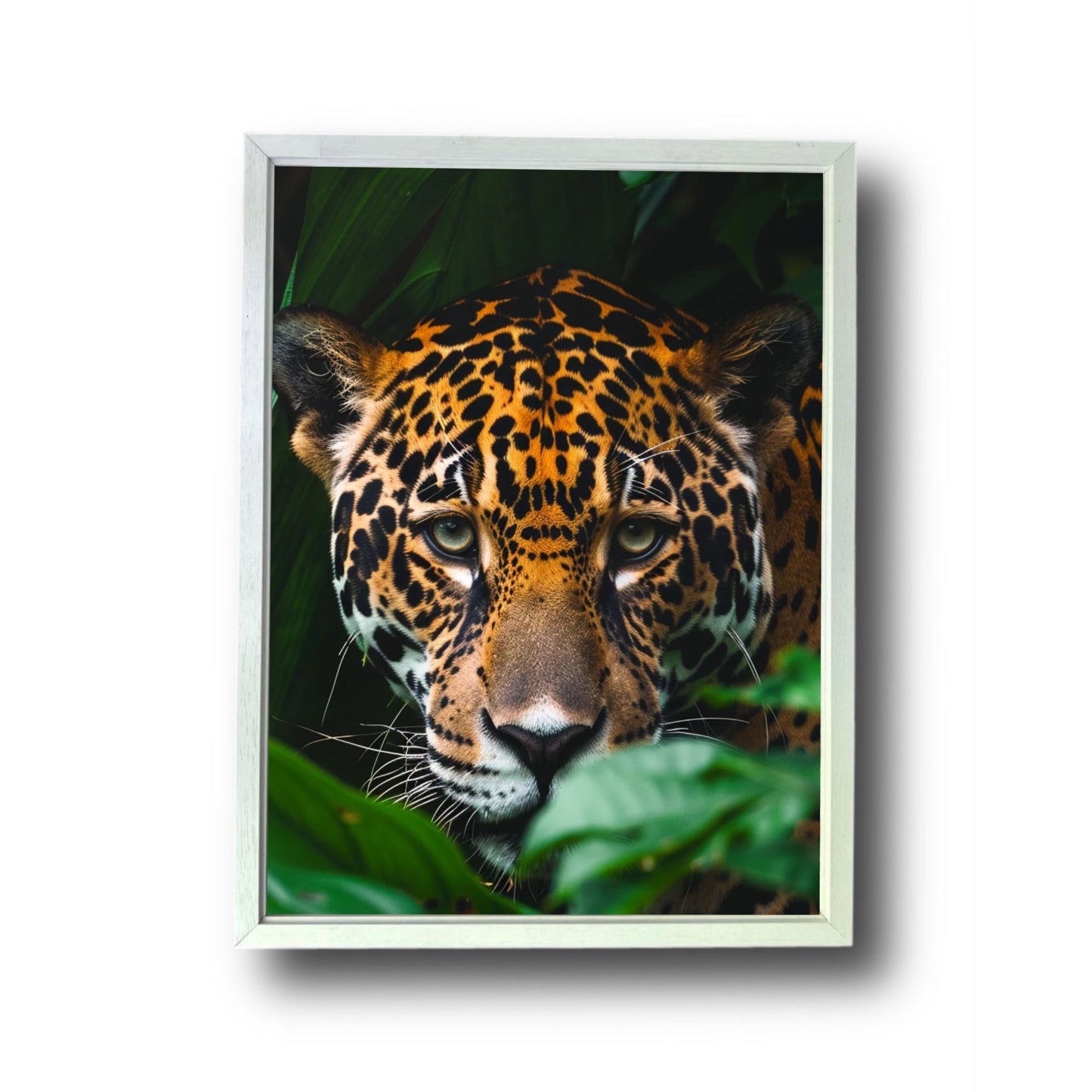 Jaguar in the Jungle 2.0