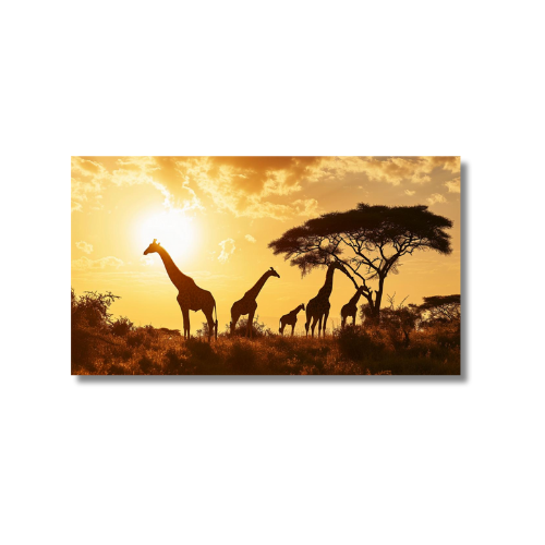 Giraffe Family Sunset
