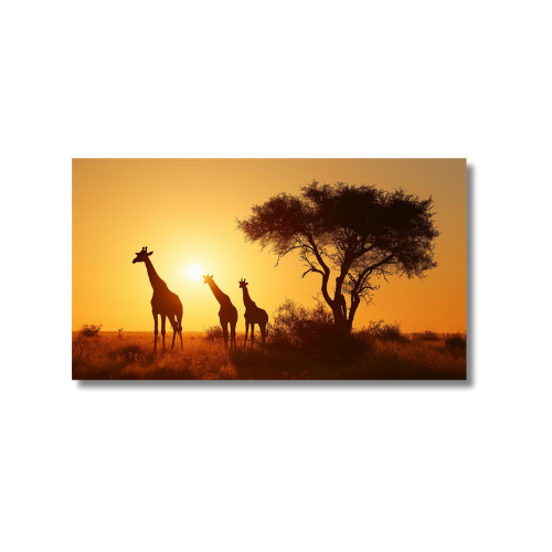 Giraffe Family Sunset 2.0