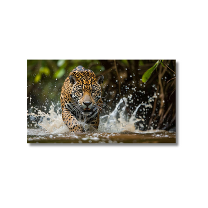 Jaguar Emerging Amazon River
