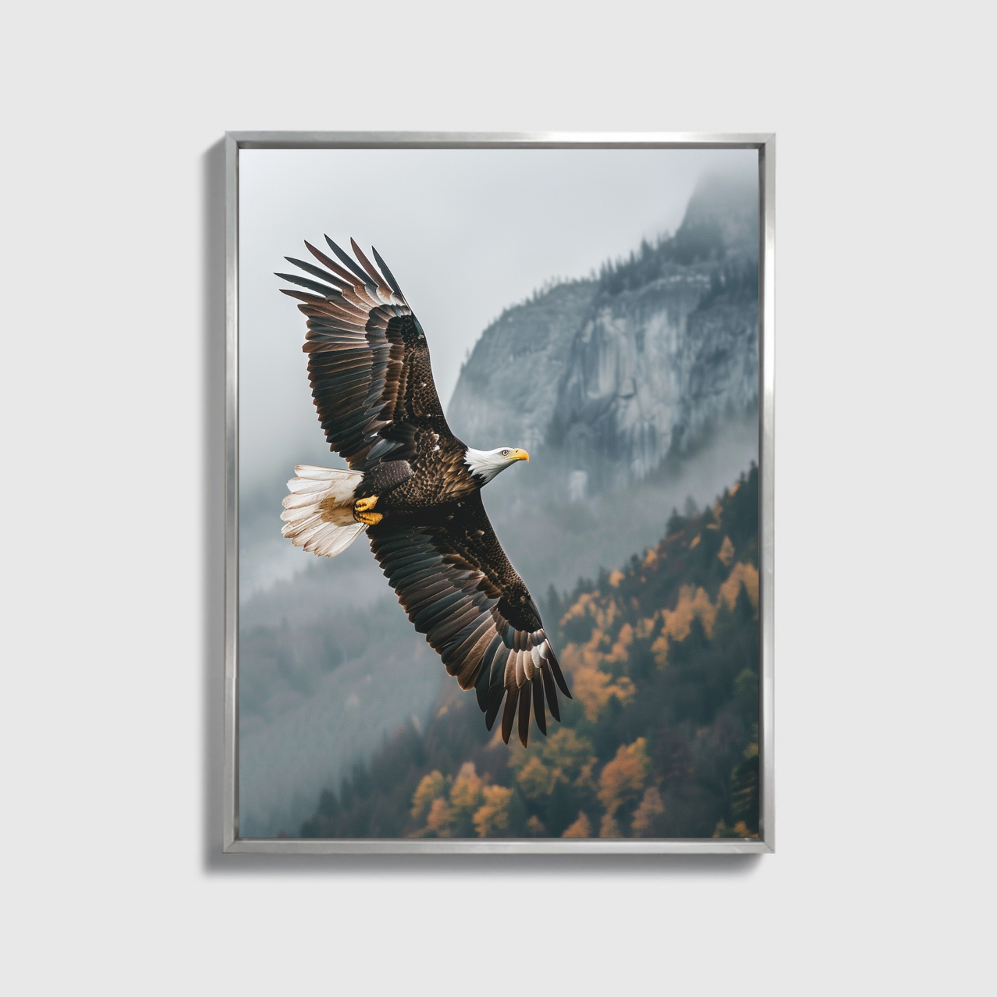 Adler