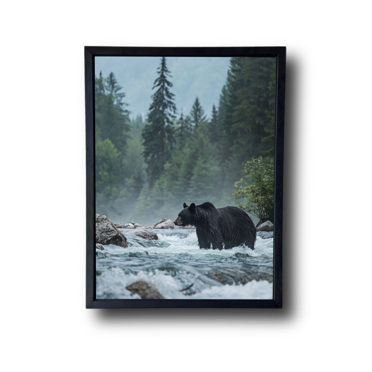 Black bear standing in river
