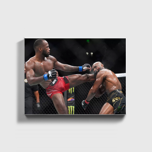 Leon Edwards Kick Ko Win