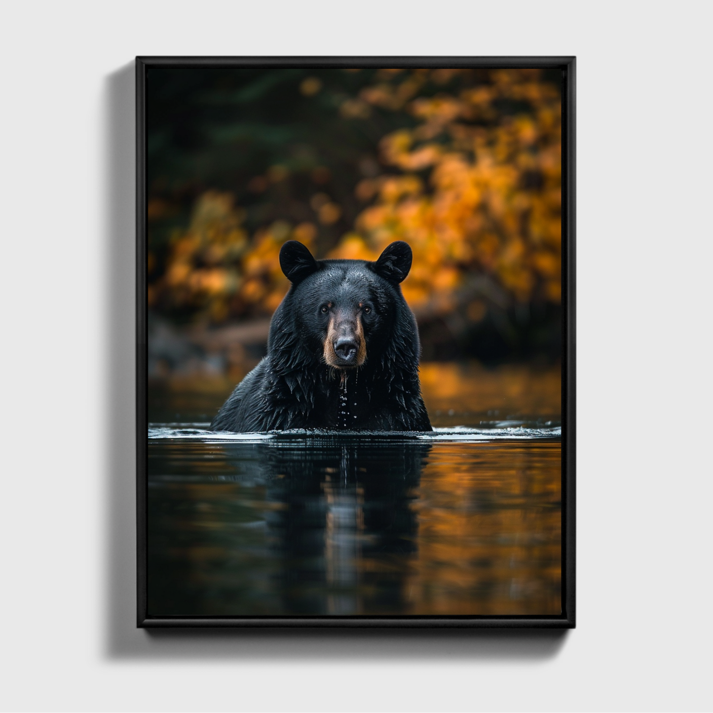 Black Bear Fishing Canadian River