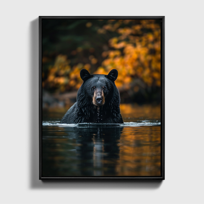 Black Bear Fishing Canadian River