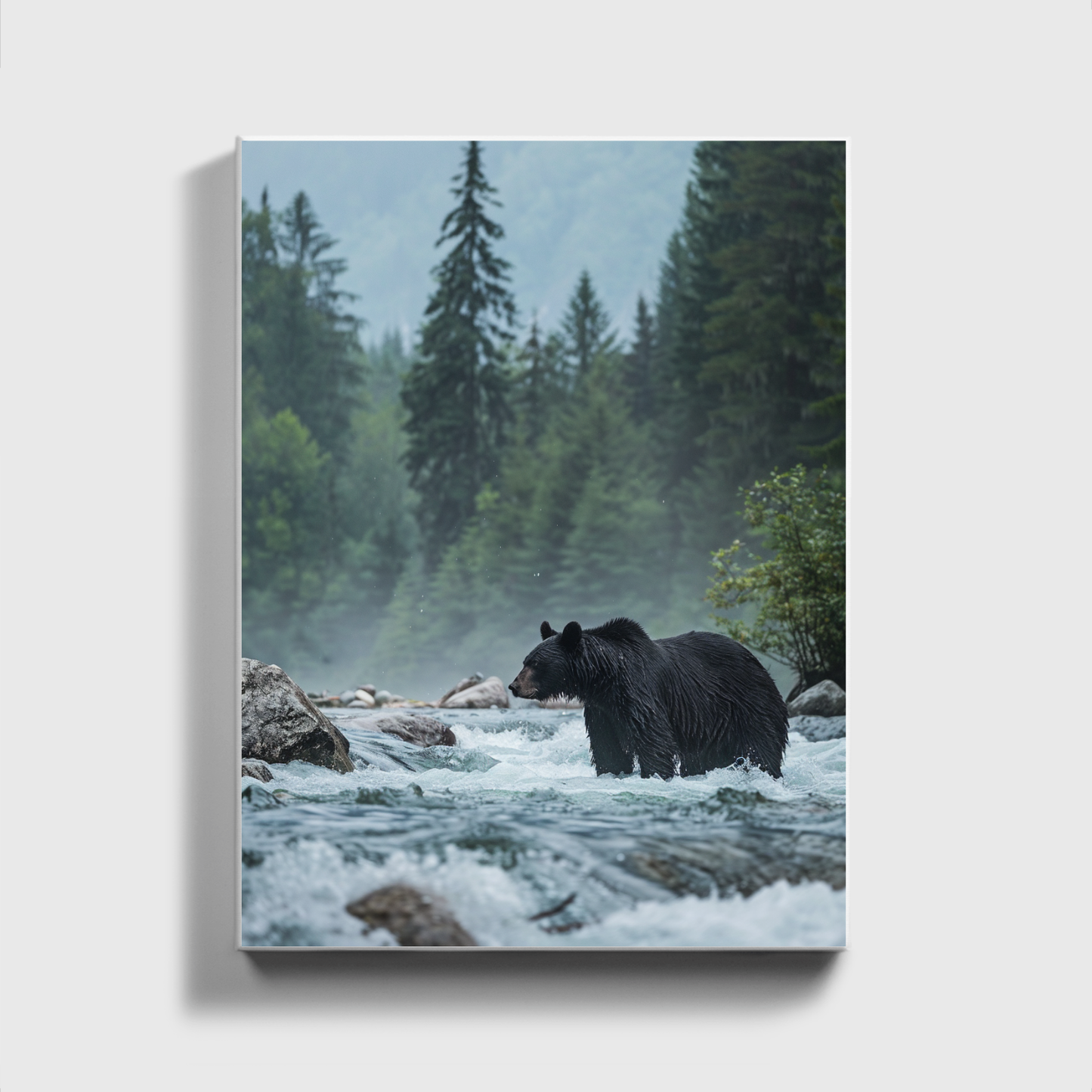 Schwarzbär steht im Fluss
