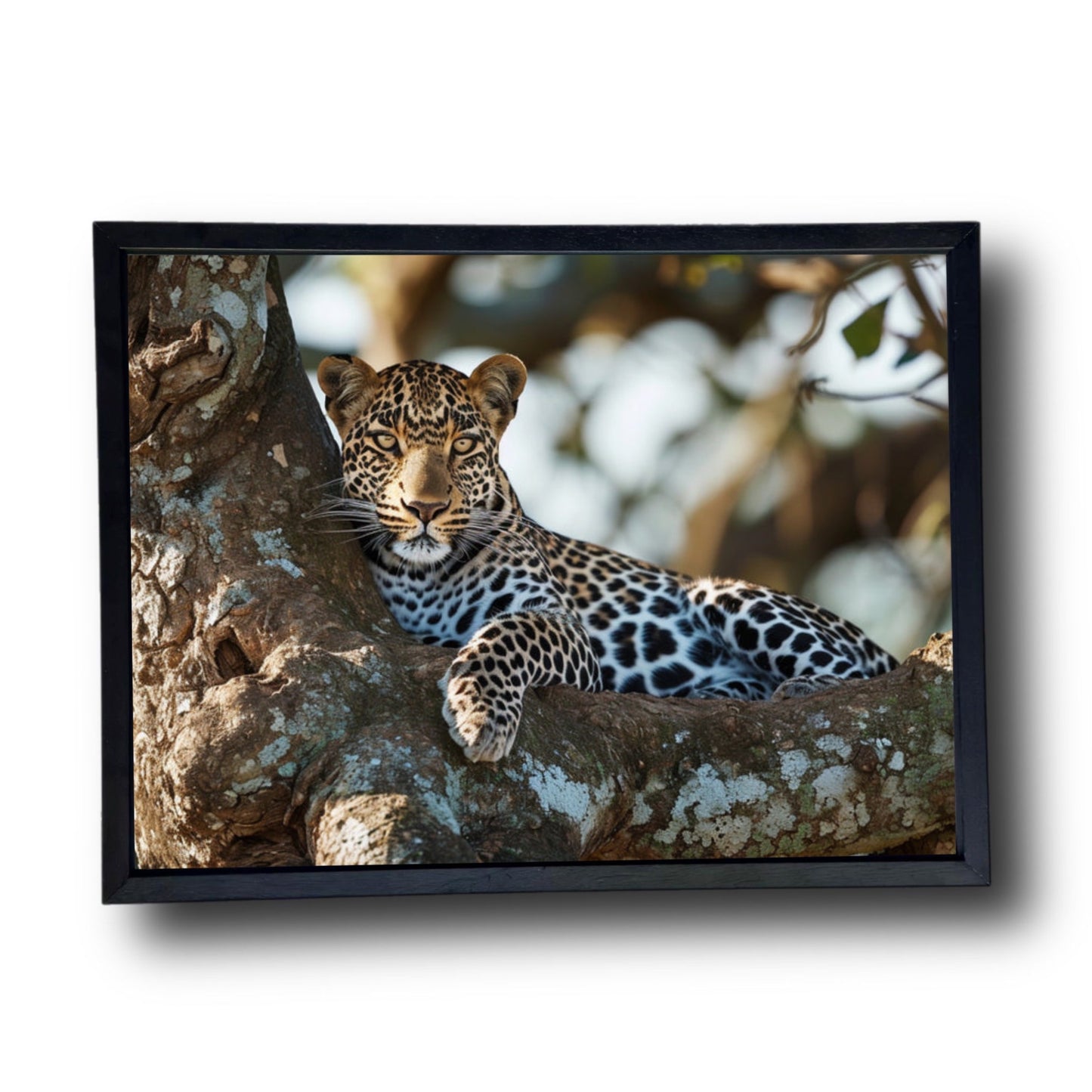 Leopard Resting In Tree In Savannah