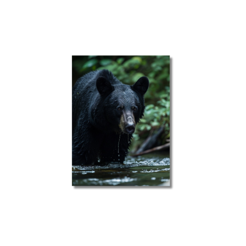 Black Bear Fishing 2X