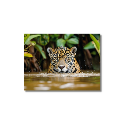 Jaguar Emerging Amazon River 2.0