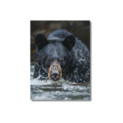 Black Bear Fishing Canadian River 3.0