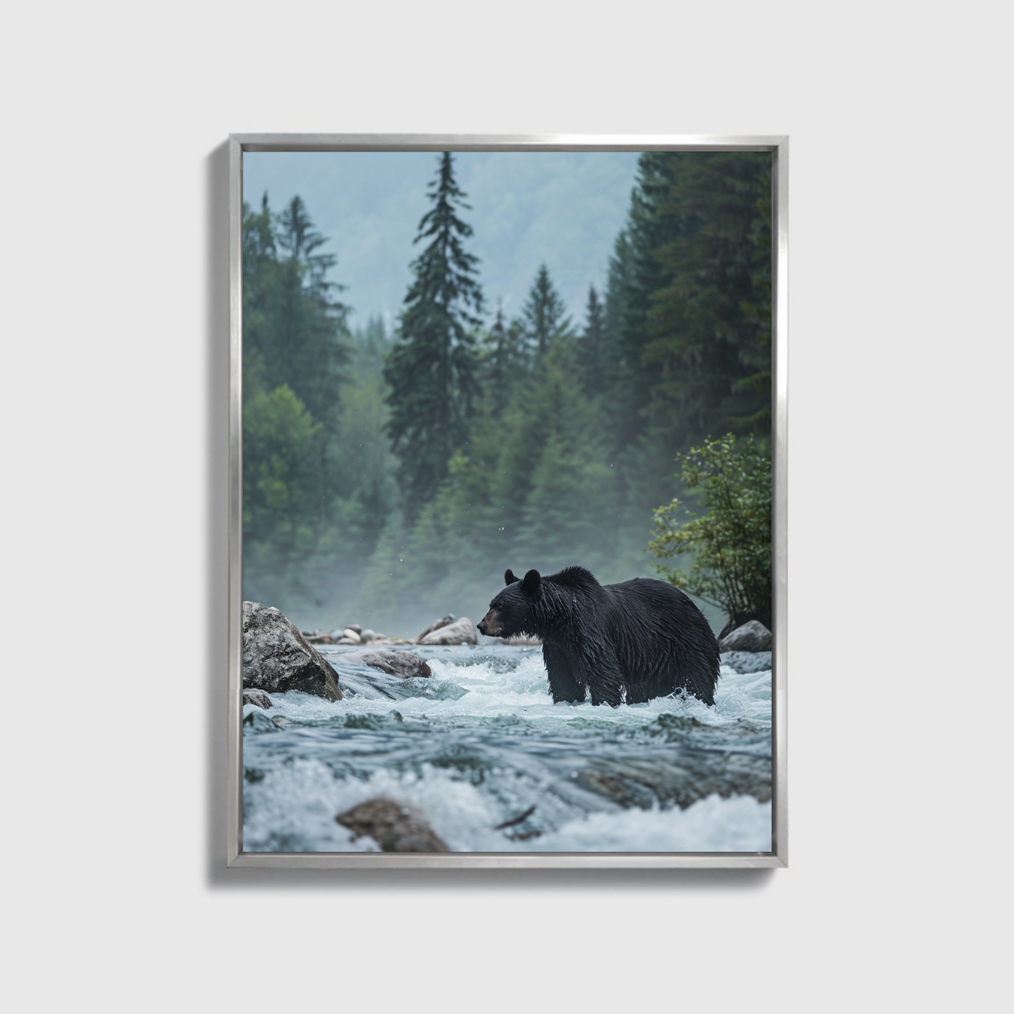 Schwarzbär steht im Fluss