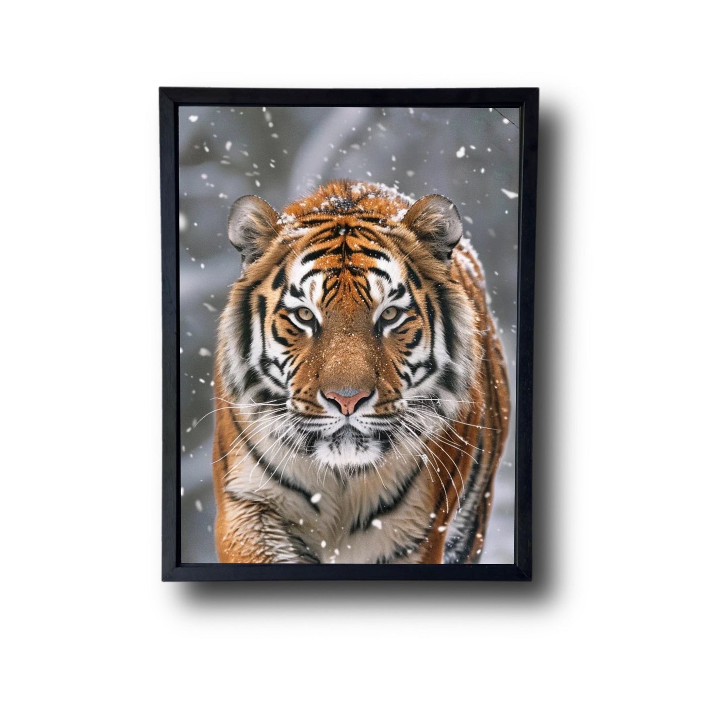 Siberian Tiger Snow Forest 3.0