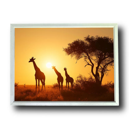 Giraffe Family Sunset 2.0