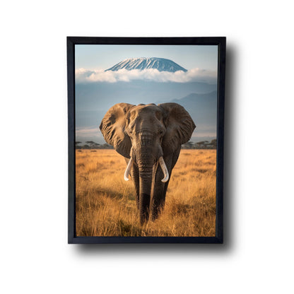 Amboseli National Park Elephant