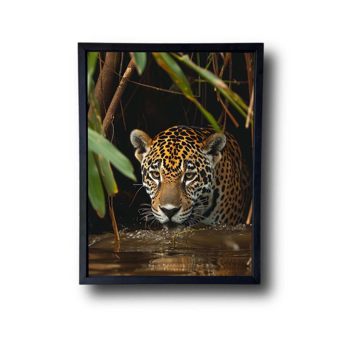 Jaguar in the Jungle 3.0