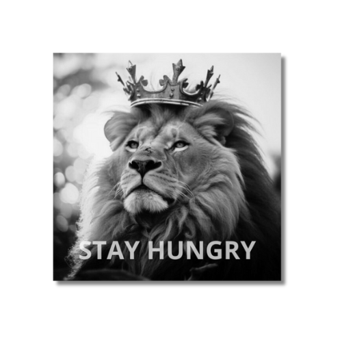 STAY HUNGRY